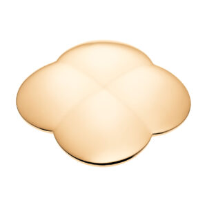 Accesoriu MagnetLuck