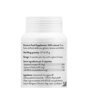 Liposomal FLASH PAIN RELIEF